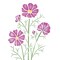 Cosmos Flower Wall Stencil | 1307 by Designer Stencils | Reusable Art Craft Stencils for Painting |